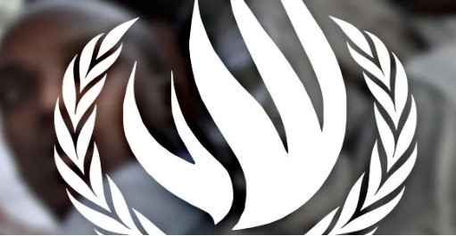 Comité para la Eliminación de la Discriminación Racial