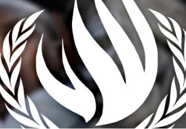 Comité para la Eliminación de la Discriminación Racial