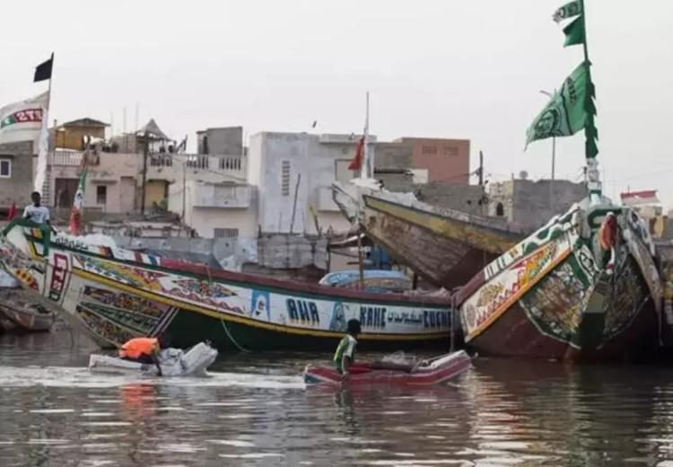 La migración es una consecuencia directa del "neocolonialismo" europeo.
